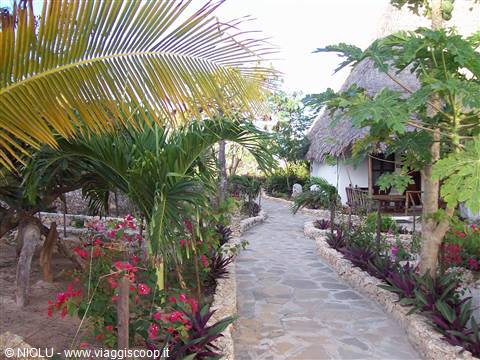 GIARDINO