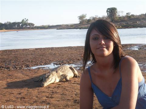 Luisa e il coccodrillo