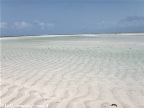bassa marea....eden village watamu beach