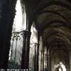 Il chiostro della Cattedrale di Barcellona SPAGNA 