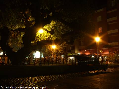 Puerto Cruz (Tenerife) by night