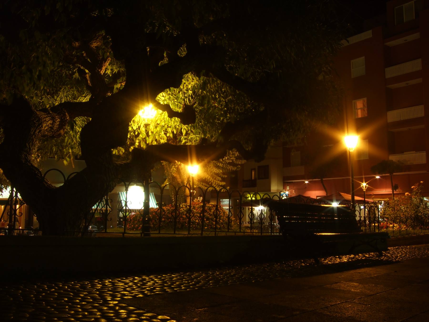 Puerto Cruz (Tenerife) by night