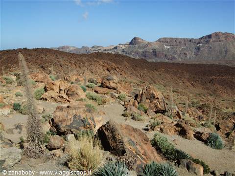 Alle pendici del Teide (Tenerife)