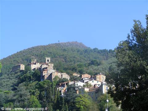 collodi