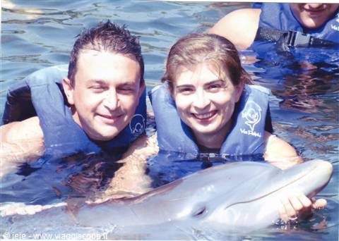 X-CARET BAGNO CON I DELFINI