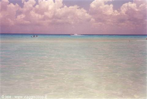 MARE