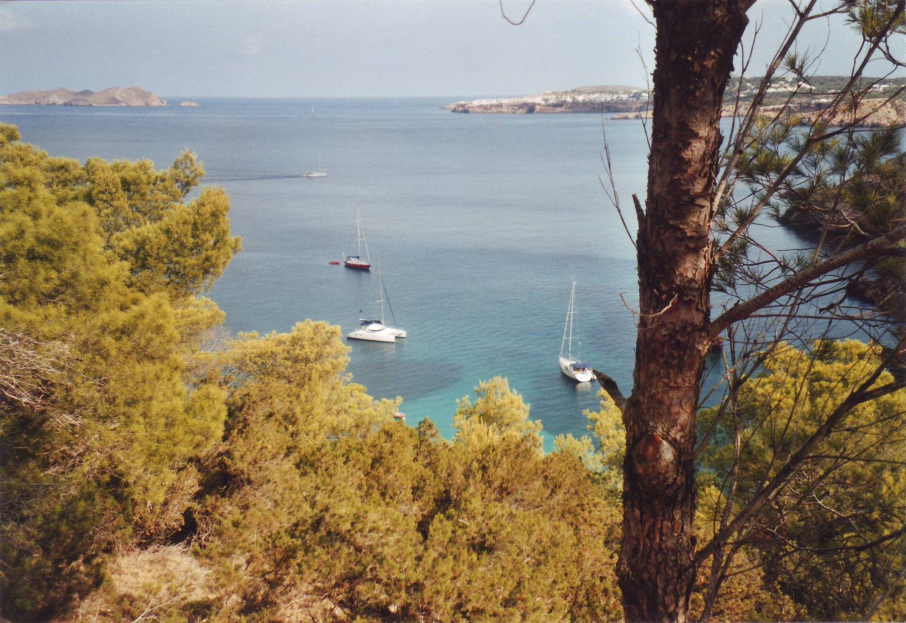 IBIZA: IL DIVERTIMENTO ASSICURATO