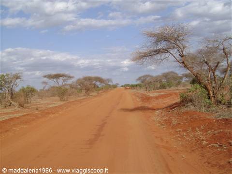 Tsavo est