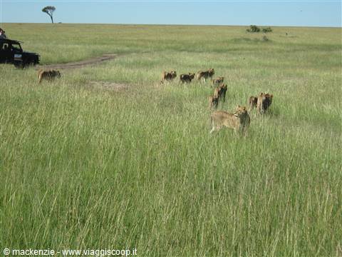 kenya