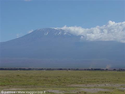 kilimangiaro
