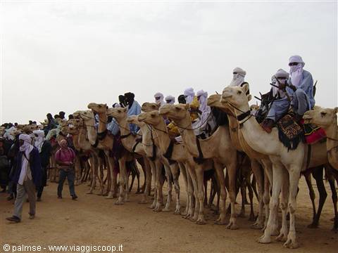 tuareg