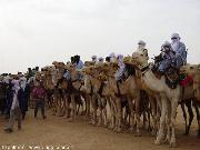 tuareg