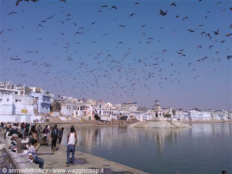 Pushkar lago sacro
