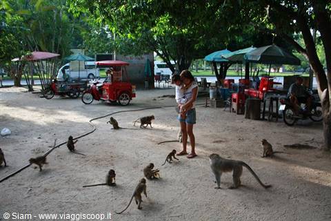 13/12/08 Escursione James Bond Island, Suwankuha Temple, fai merenda con...