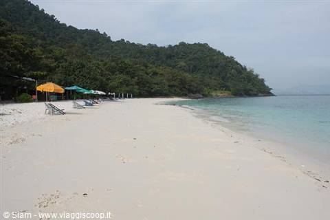 14/12/08 Coral Island