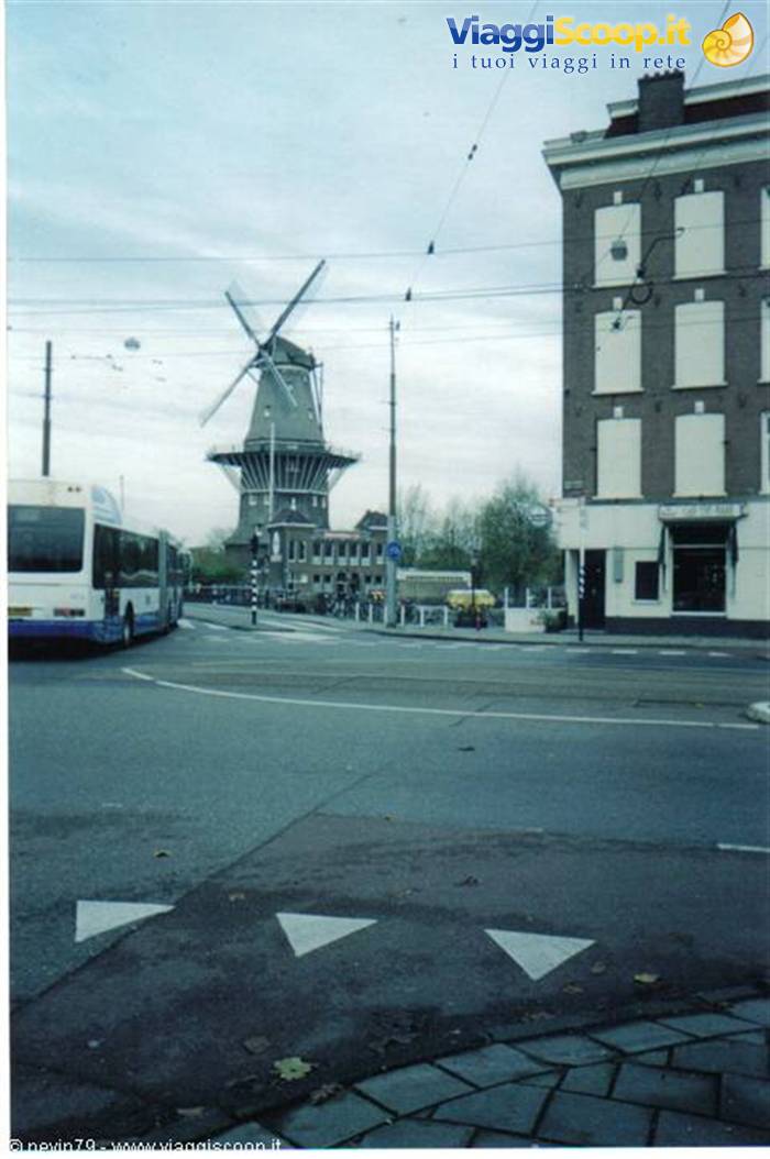 foto di nevin79