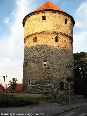 Tallinn