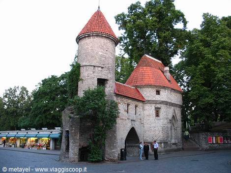 Tallinn
