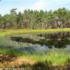 Parco Lahemaa ESTONIA 