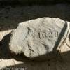Plymouth Rock STATI UNITI D'AMERICA 