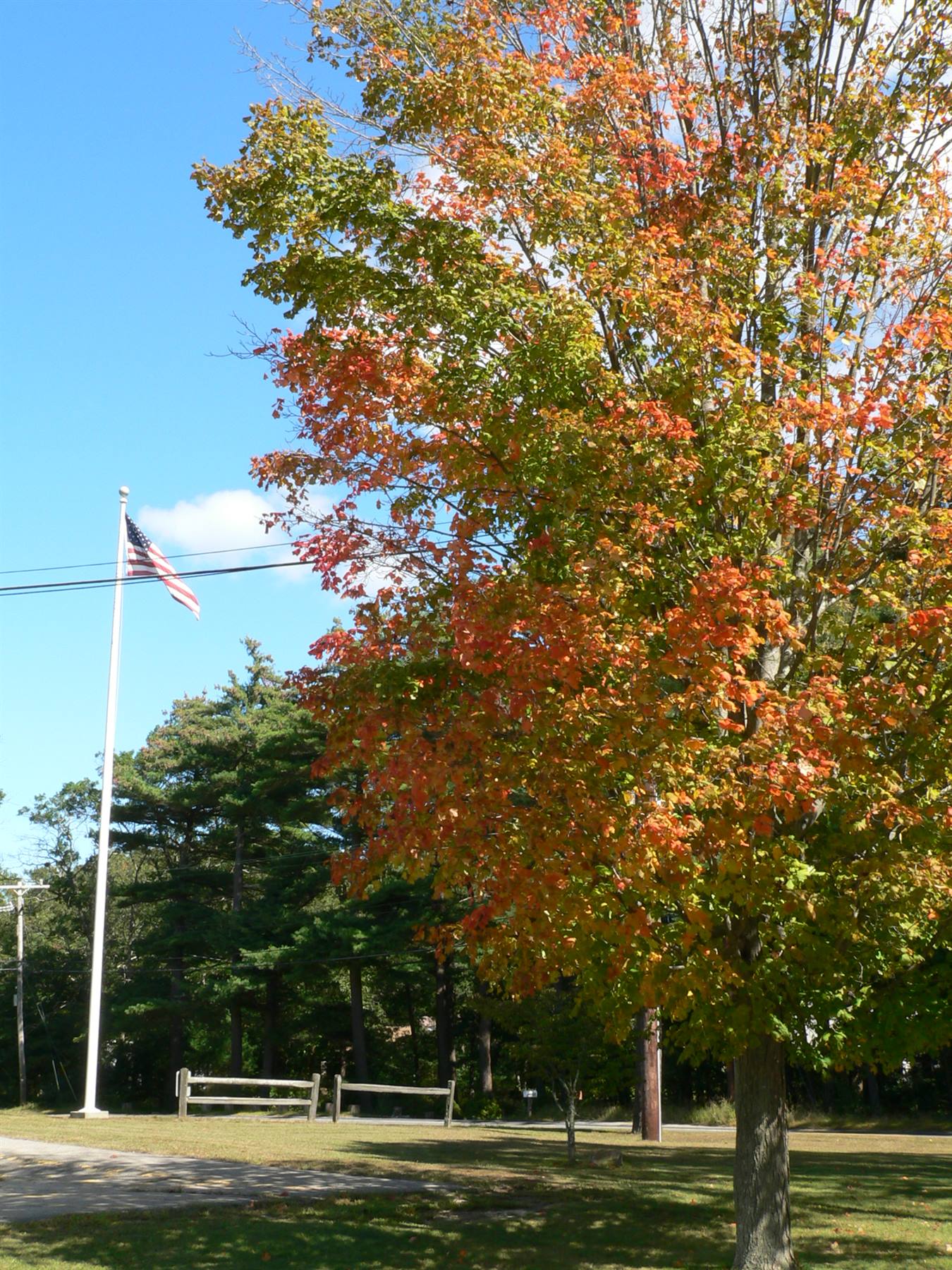 Fall Foliage in Duxbury MA