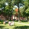 Harvard University STATI UNITI D'AMERICA 