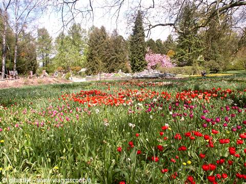 Mainau
