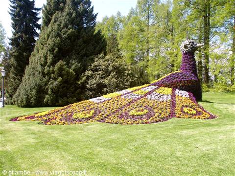Mainau