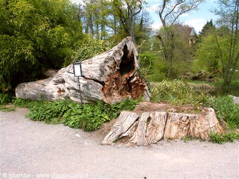 Mainau