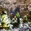  	 04-01 - Castellana Grotte ITALIA 