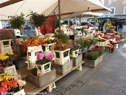 Salisburgo - 030