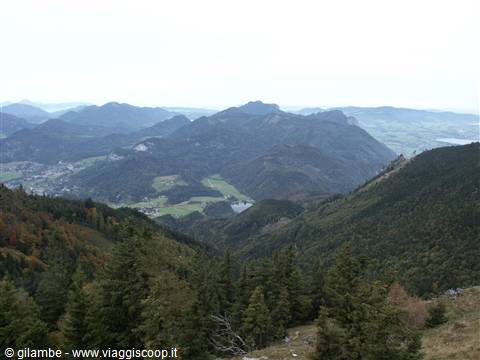 Salzkammergut 021 - St. Wolfgang - Treno SchafbergBahn