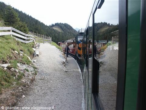 Salzkammergut 044 - St. Wolfgang - Treno SchafbergBahn