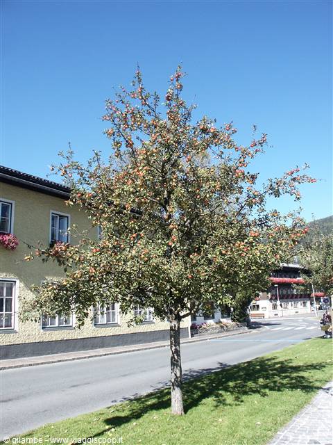 Altenmarkt - 001