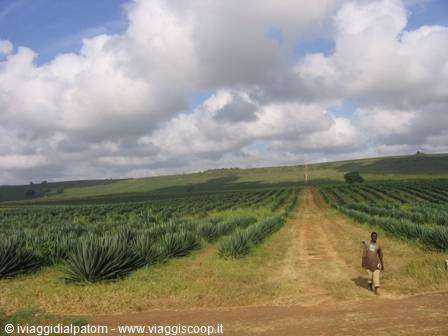 Tra Mombasa e Malindi