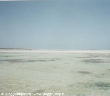 Malindi: il safari marino