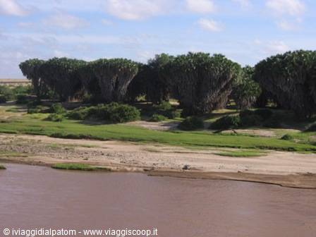Tsavo East