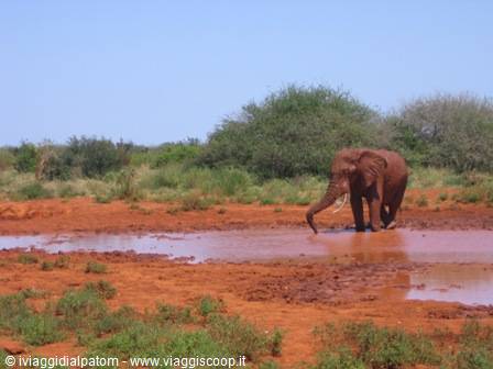 Tsavo East