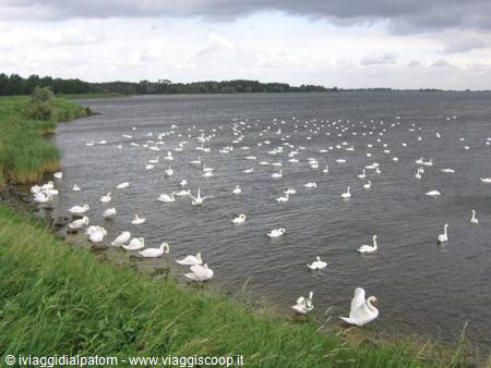 Uitdam