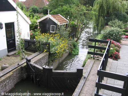 Edam