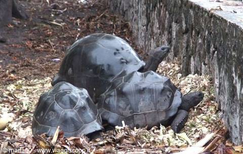 Seychelles