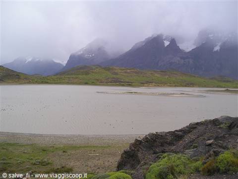Corni del Parco Torri del Paine