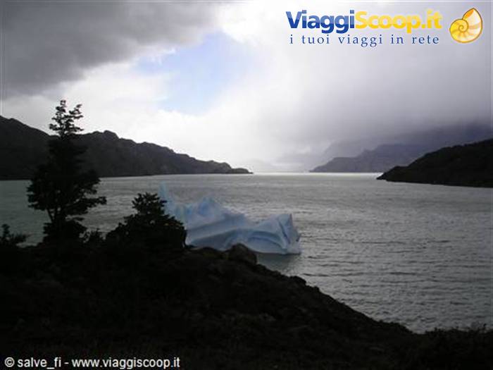 Lago Grey (ParcoTorri del Paine)