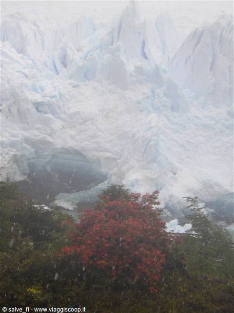 Perito Moreno sotto la neve