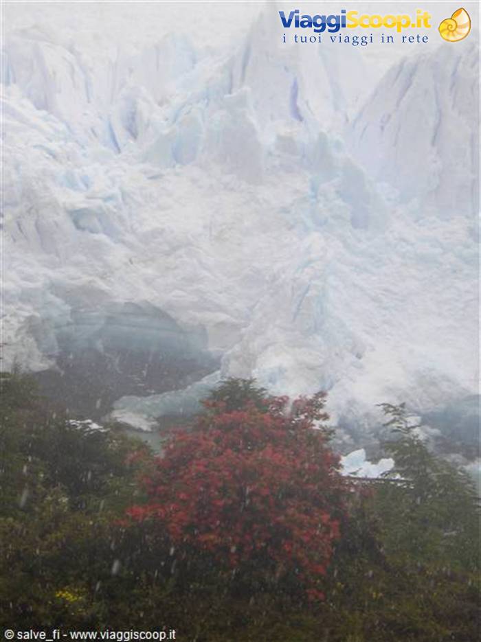 Perito Moreno sotto la neve
