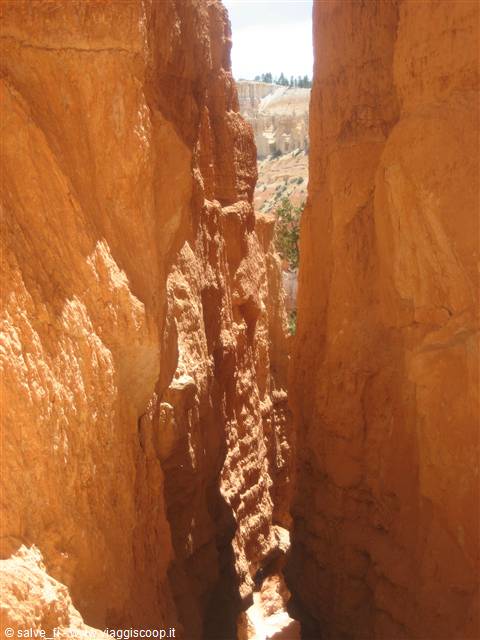 NAVAJO LOOP