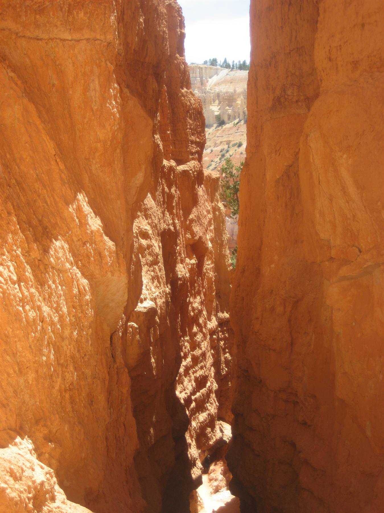 NAVAJO LOOP