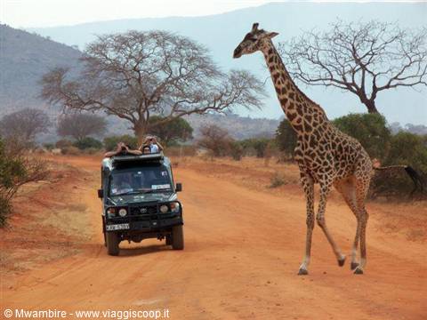 guida tsavo est