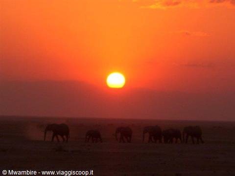 tramonto ngutuni