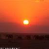 tramonto ngutuni KENYA 